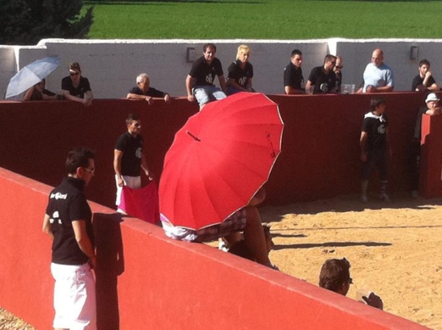 Pleno sol.jpg